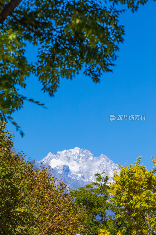 丽江古城黑龙潭景