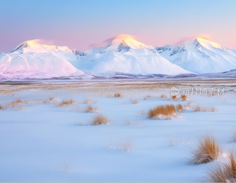 高山雪地