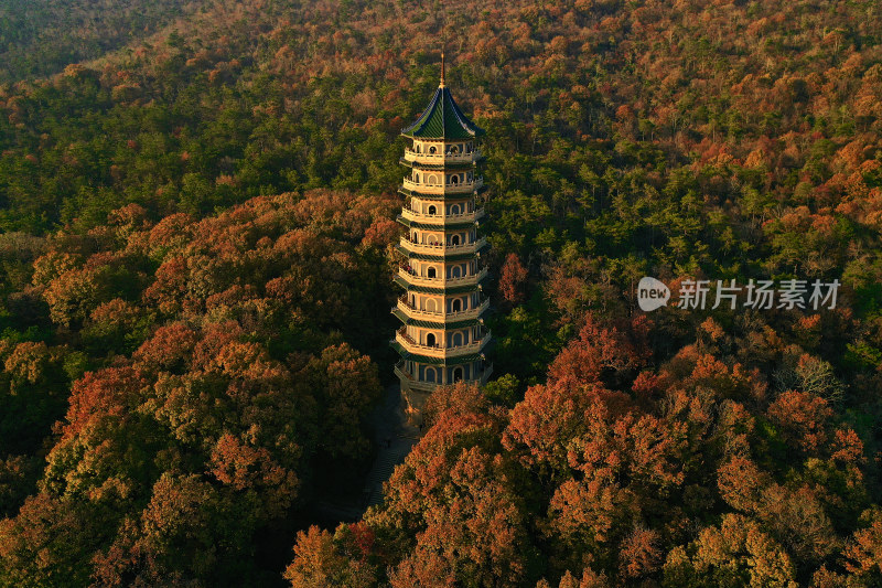 秋天的灵谷景区