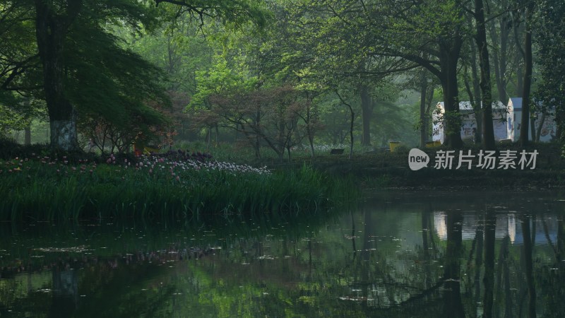 杭州西湖太子湾公园风景