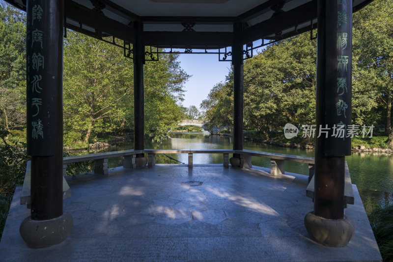 杭州西湖花港观鱼风景