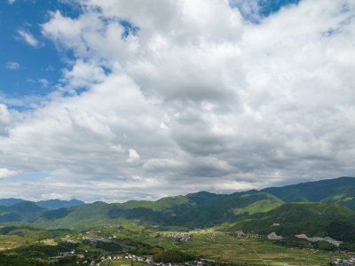 航拍乡村绿色稻田