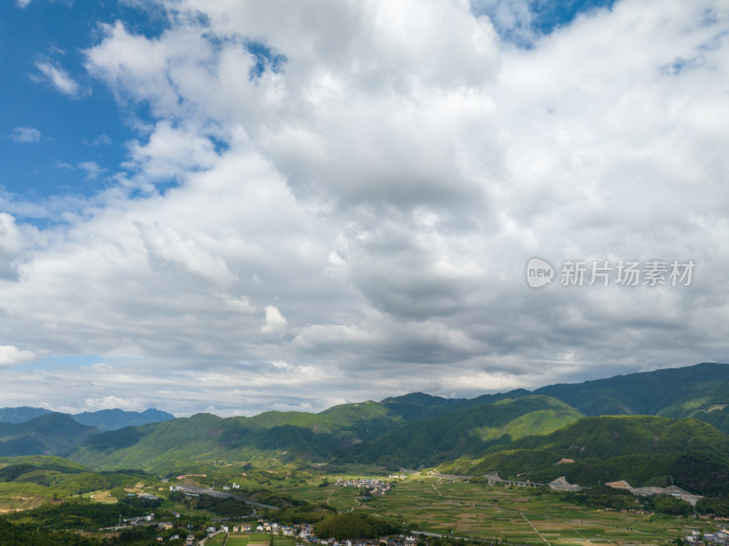 航拍乡村绿色稻田