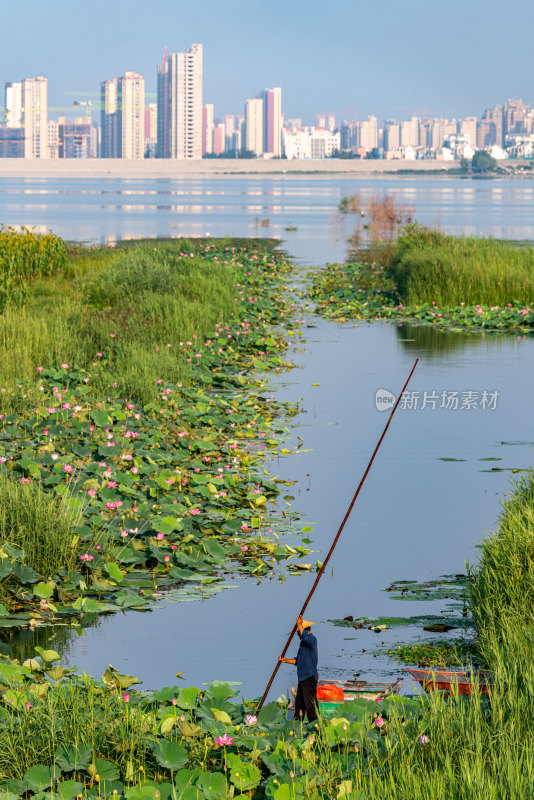 中国邹城孟子湖湖泊湿地渔船自然景观