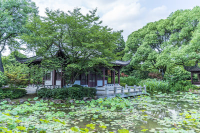 武汉东湖湖北书画院风景