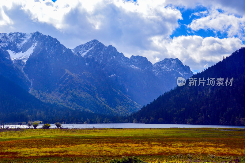 雪山湖泊湿地伍须海