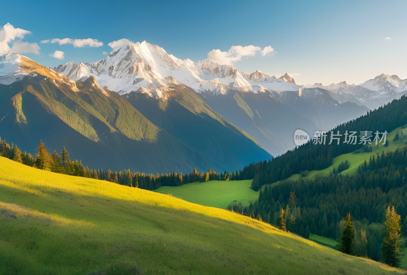 雪山草原森林风景