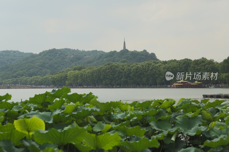 杭州风光 西湖风光