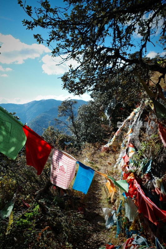 云南大理鸡足山景区山坡上悬挂的彩色经幡