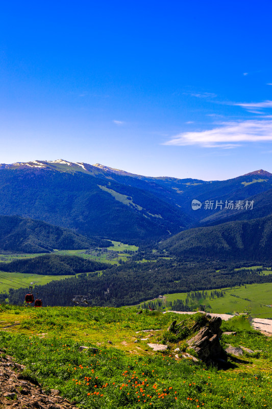 春季新疆大自然山河雪山草原风光