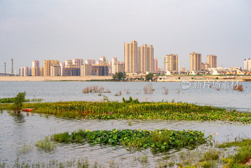 夏天的邹城孟子湖湿地湖泊自然景观