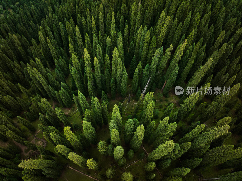 库尔德宁风光美景