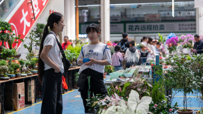 云南昆明斗南花市吸引大量游客前来买花