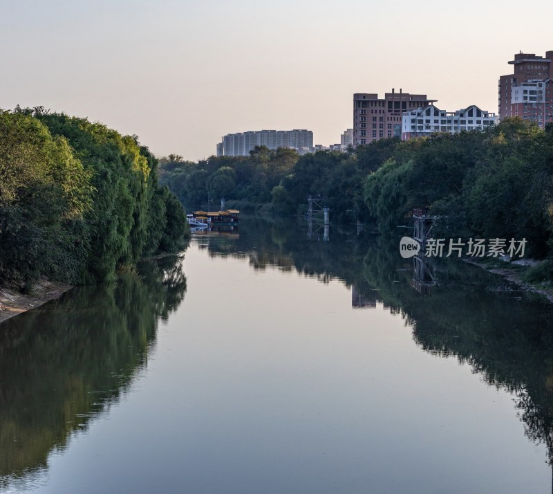 德州古运河河畔绿树与城市建筑景观