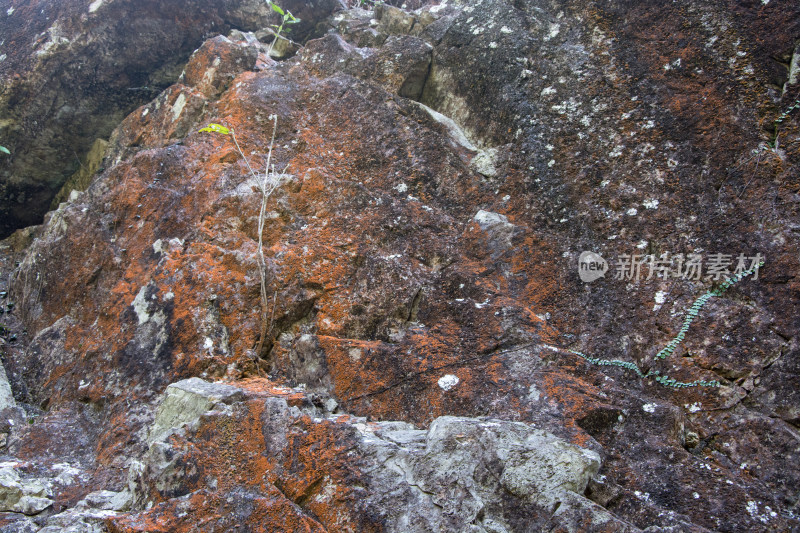 深圳七娘山岩石峭壁近景特写