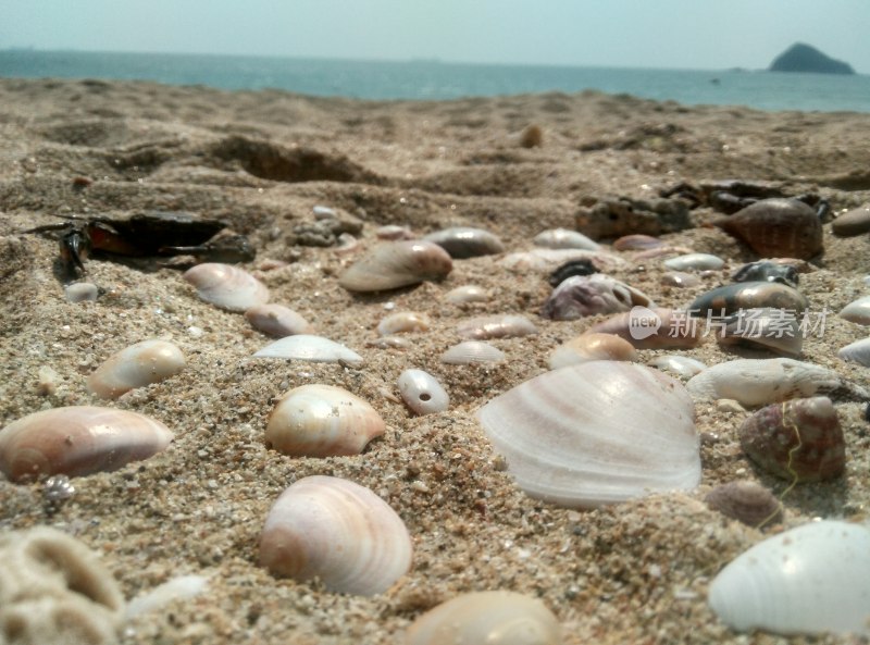 海滩沙滩海岸线