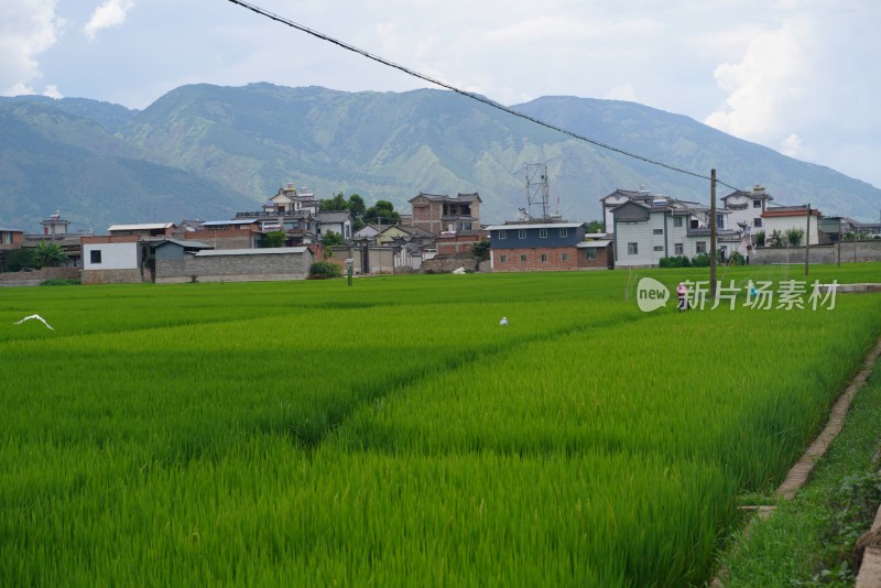 田野乡村与远山风景