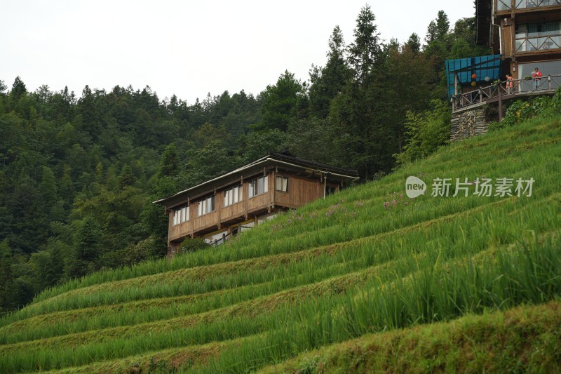 桂林龙胜、漓江