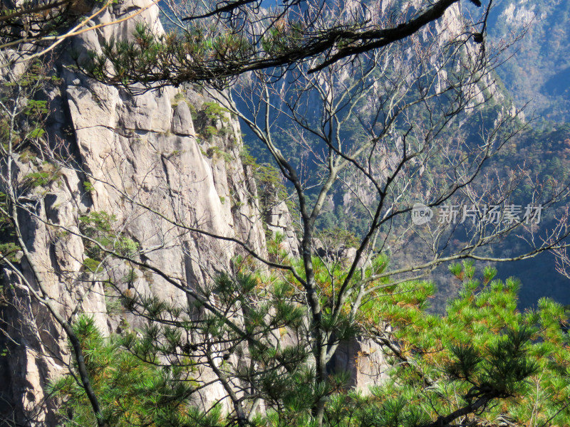 中国安徽黄山旅游风光