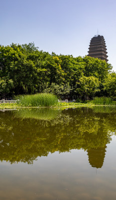 陕西西安小雁塔遗址公园西安博物馆景点景观