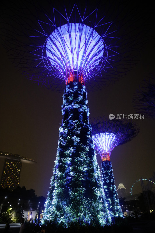 新加坡机场与城市夜景的魅力之光