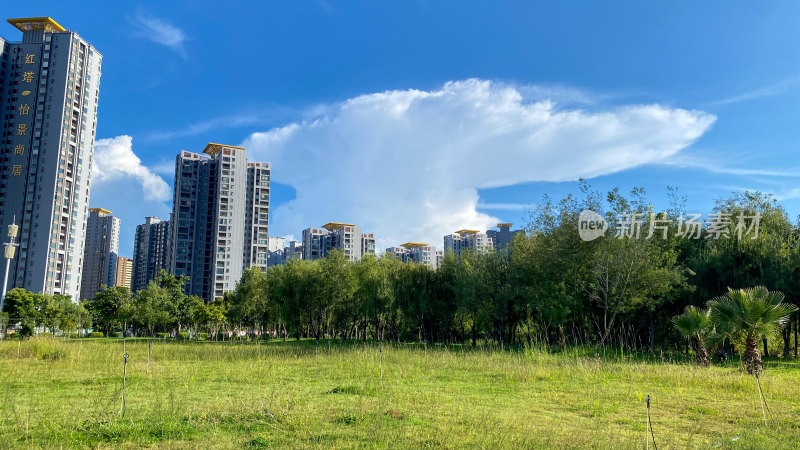 城市绿地与高楼景观