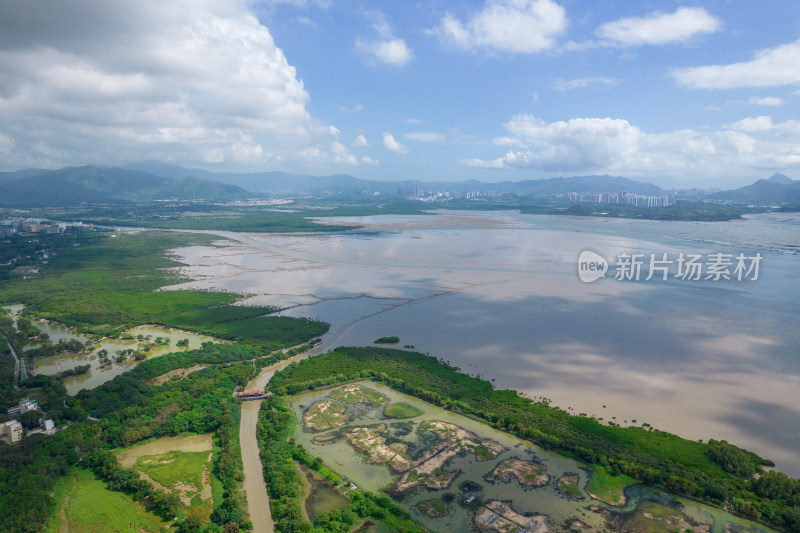 深圳福田红树林保护区