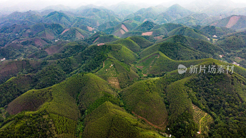 山 山脉 山峦