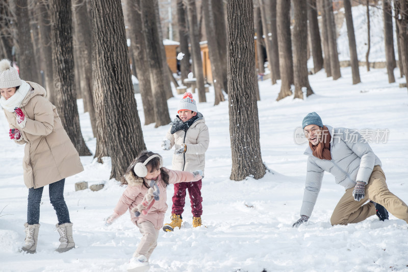 雪地里打雪仗的快乐家庭