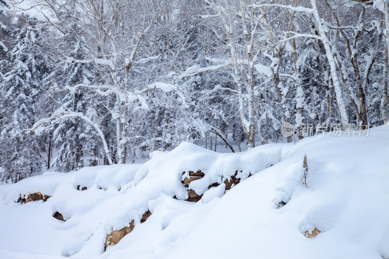 黑龙江 双峰林场 雪乡