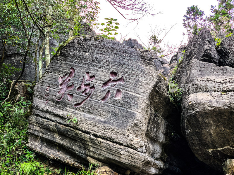 湖北恩施梭布垭石林旅游风光