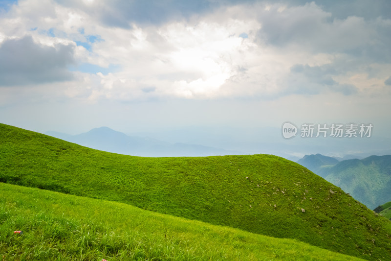 江西武功山高山草甸