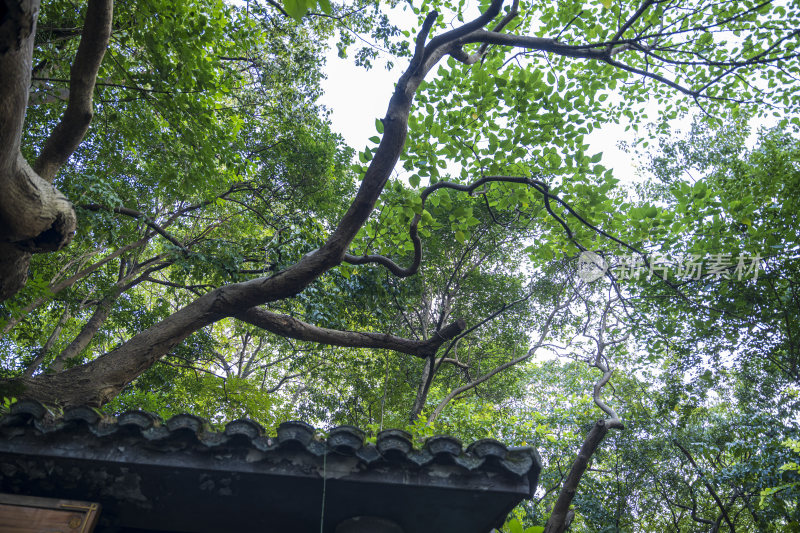 杭州吴山天风景区圆心亭