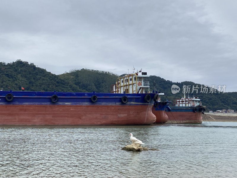 水面海鸟和一艘大船