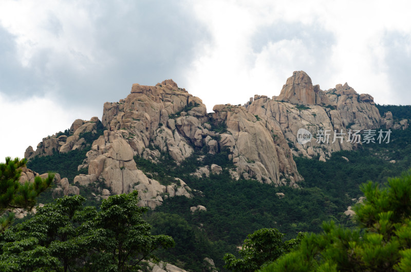 青岛崂山仰口风景区，起伏的山峰和茂密松林