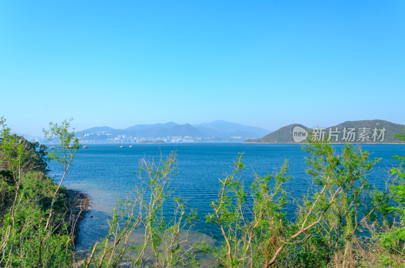 香港大埔大美督海岛海景风光