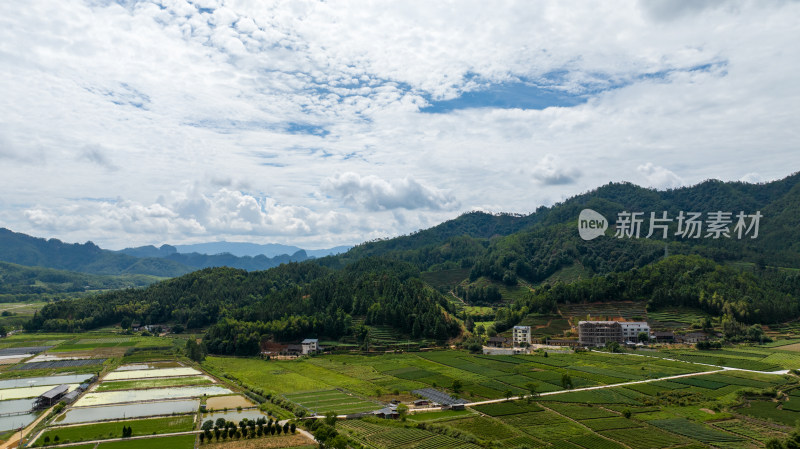 航拍武夷山绿色农田与茶园