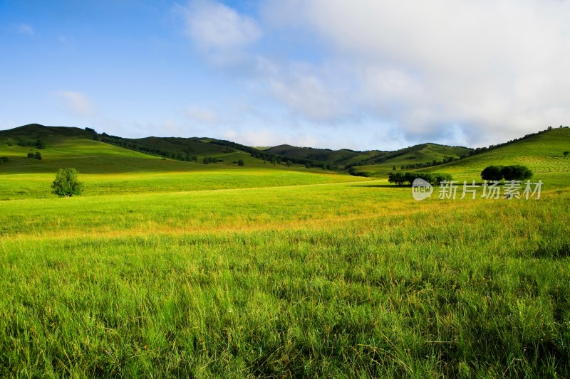 内蒙,坝上,乌兰木统,乌兰木统草原,红山,军马场,草原,草地,