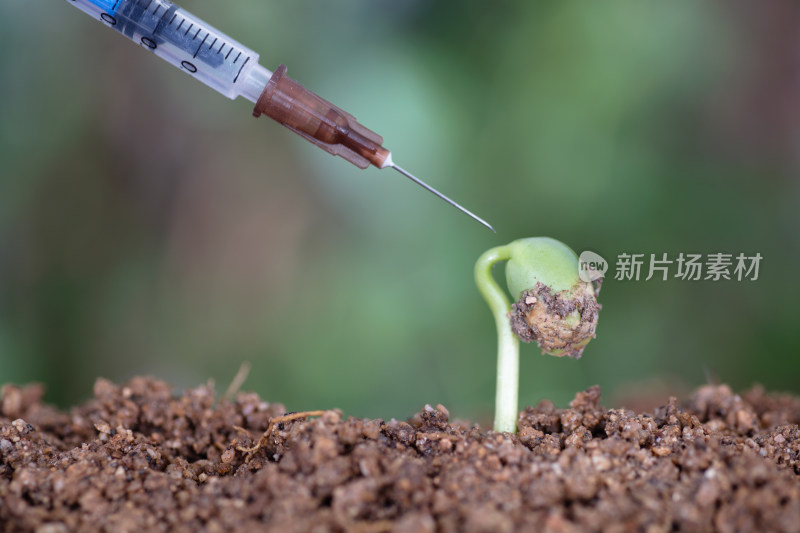 手拿针管准备给绿芽打针