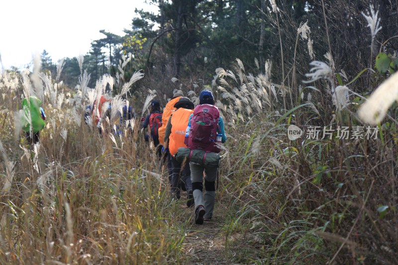 山路 山间小路 登山 清晨