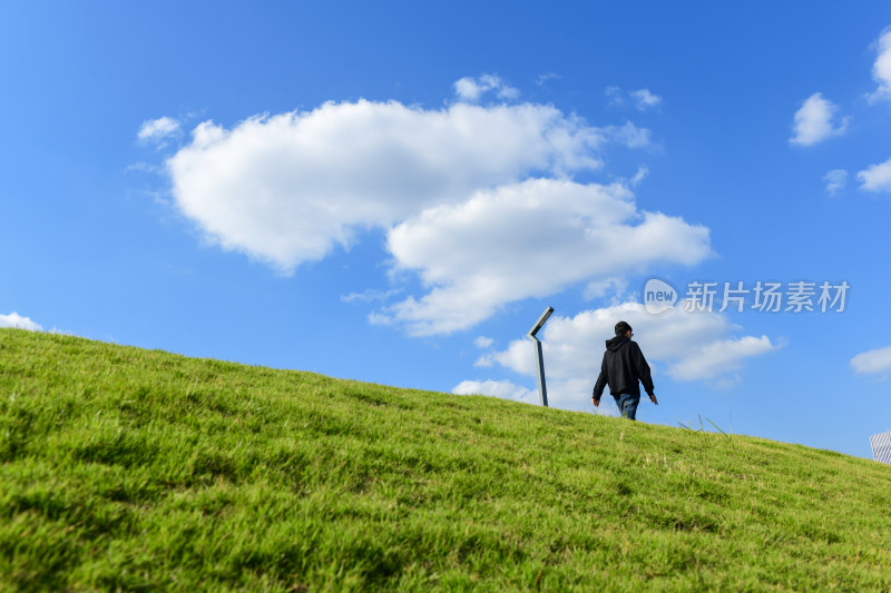 美丽的自然风光，蓝天白云绿草地路灯