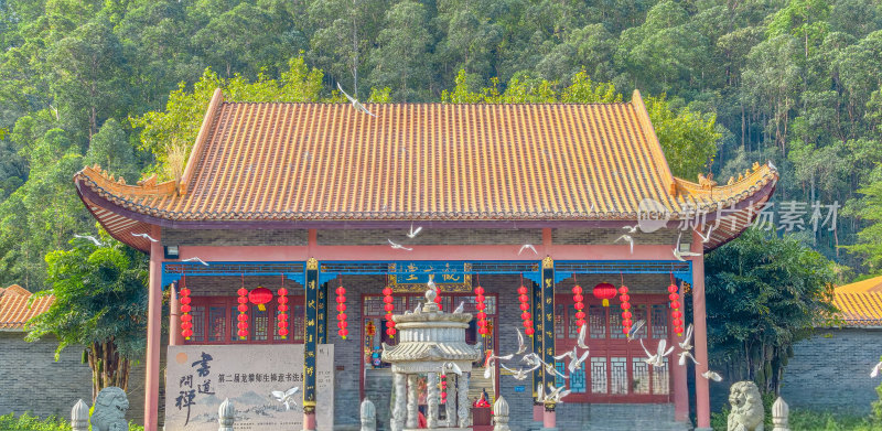 佛山市顺峰山公园宝林寺内的鸽子