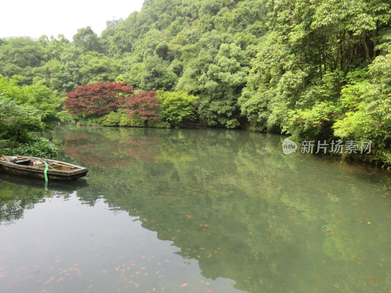 杭州九溪烟树景区