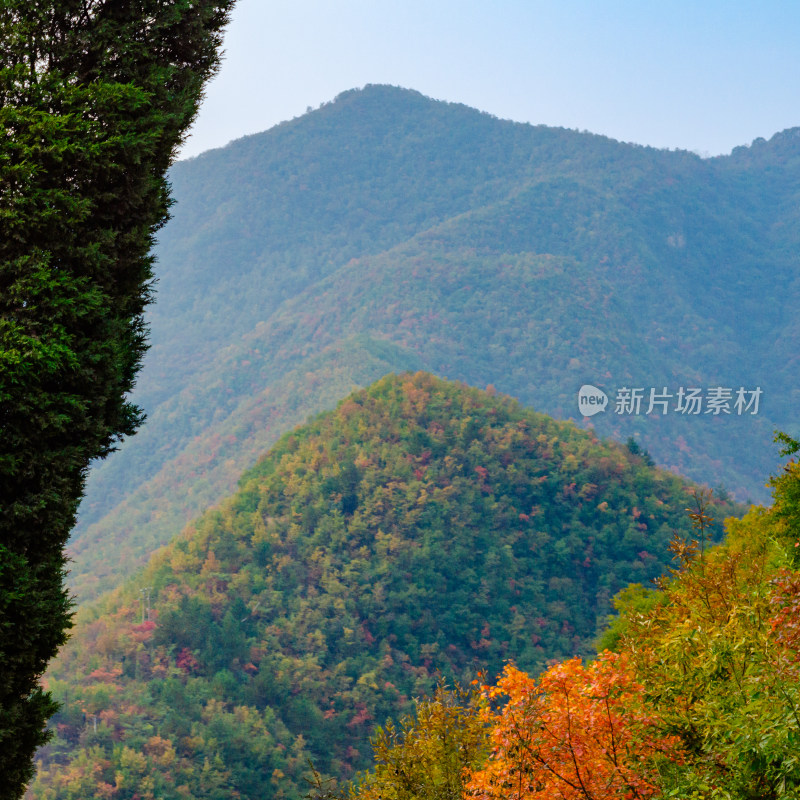 河南洛阳白云山，秋天风景