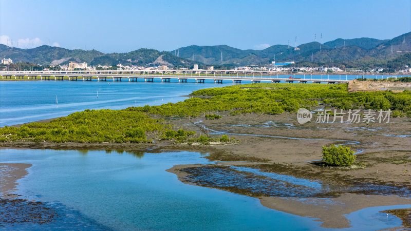 惠州市盐洲海洋湿地公园-红树林航拍