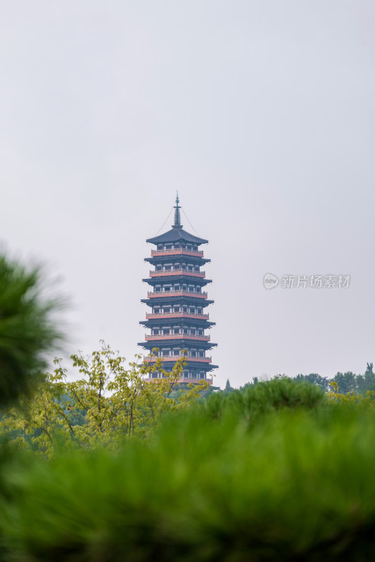 晴朗的午后，眺望扬州大明寺栖灵塔风景