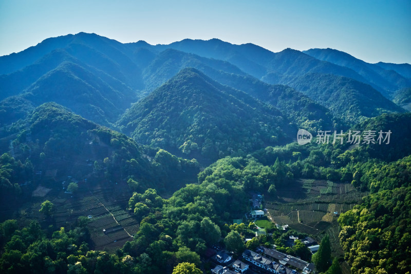 杭州九溪烟树