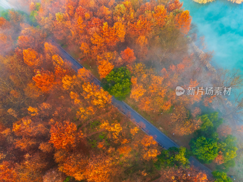 航拍下的西溪湿地晨雾及秋色风光