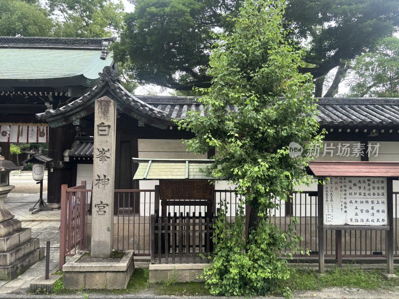 白峯神社外景展示