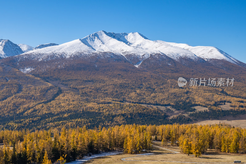 新疆北疆阿勒泰秋日雪山